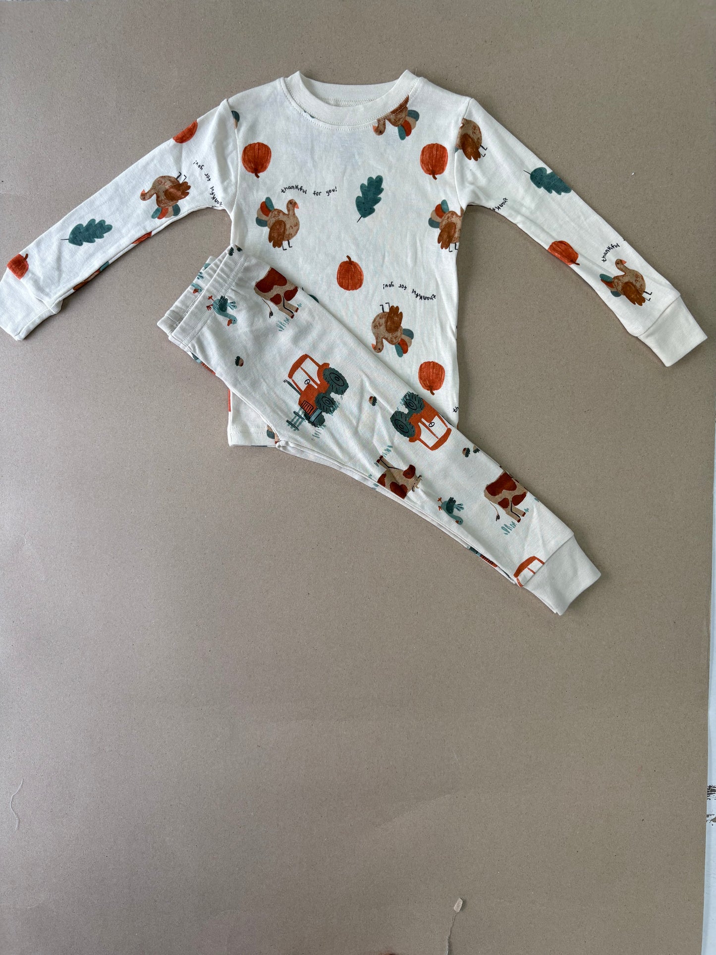 Chick & pumpkin - full sleeve co ord set