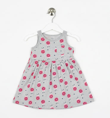 Grey bug with packet-frock