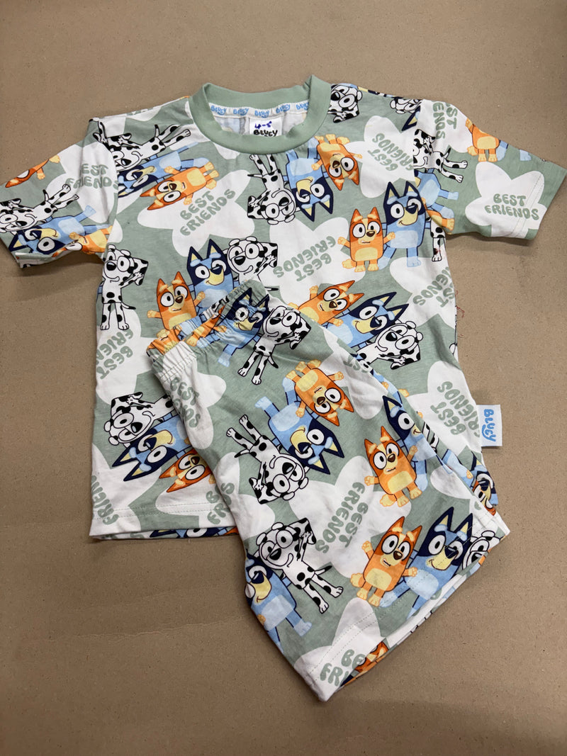BEST ERIENOS Bluey -Kids Co-Ord Set premium quality