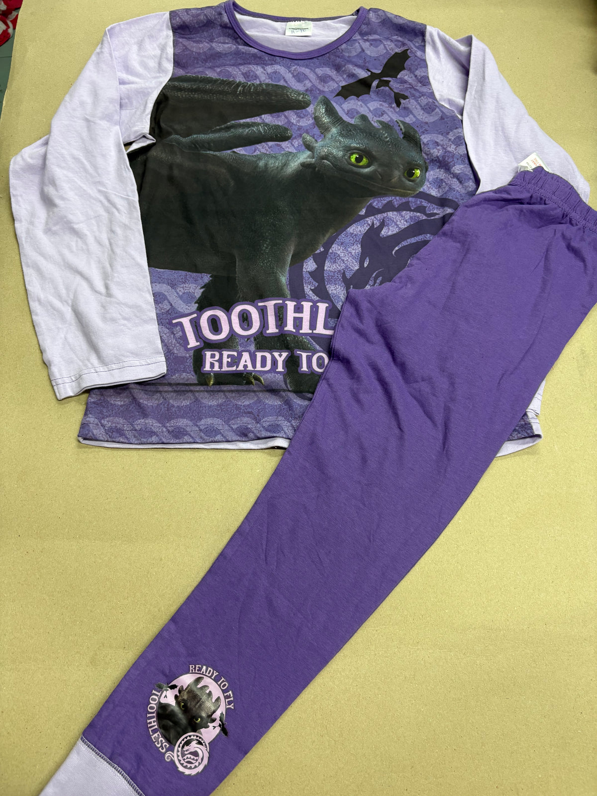TOOTHLESS READY TO FLY-Kids Full Sleeve Set