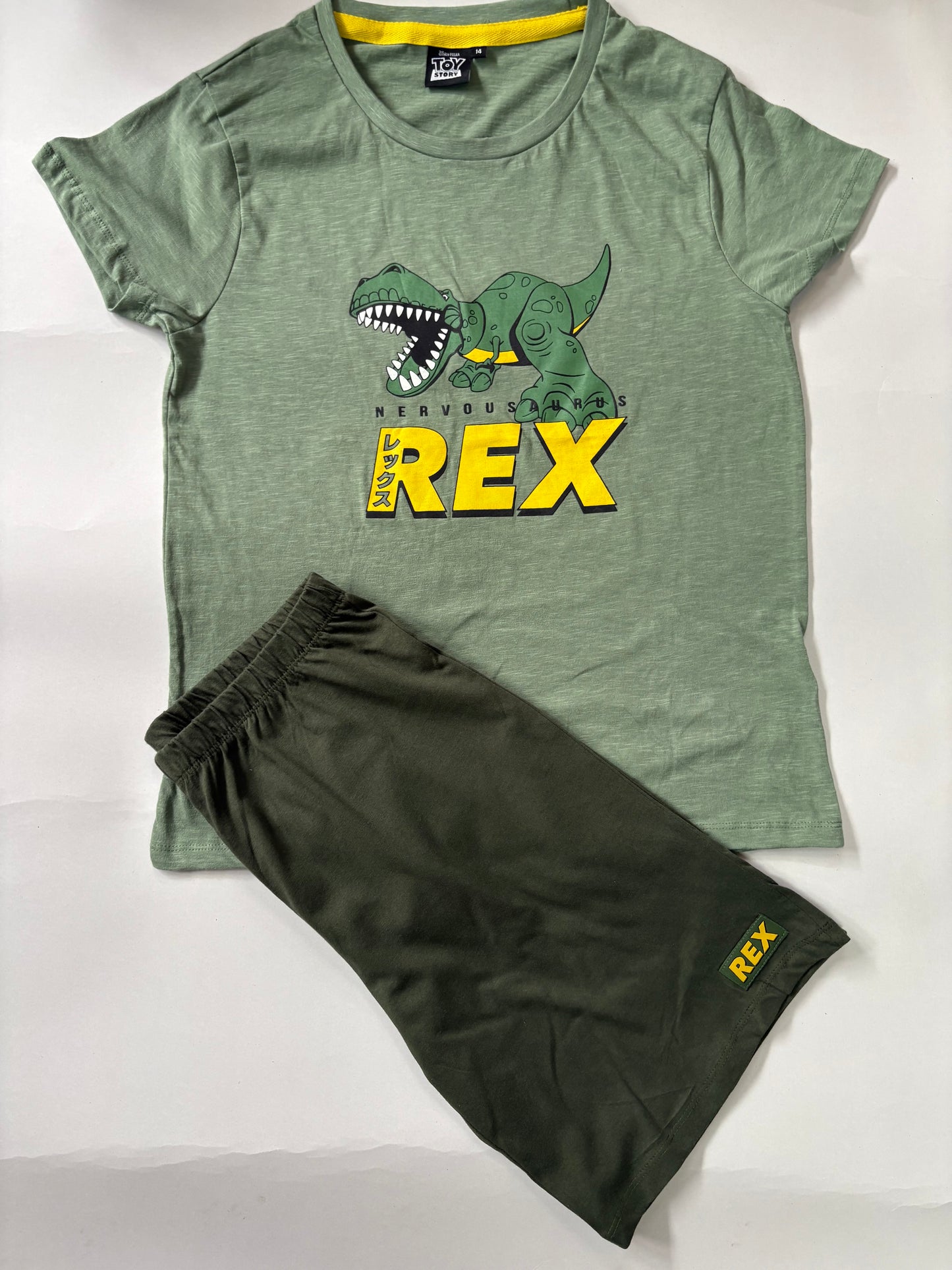 Green Dinosaur- Half sleeve Shorts Set