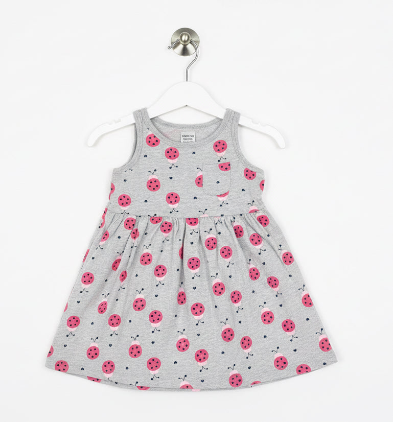 Grey bug with packet-frock