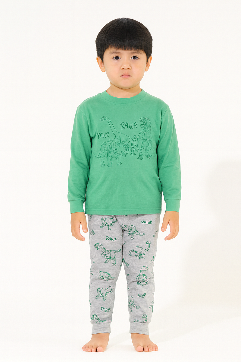Kits full sleeve sets-Green dinosaur